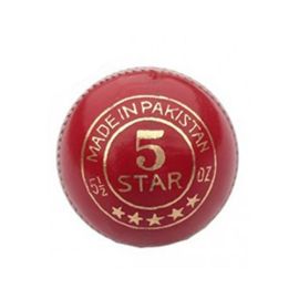 HS 5 Star Cricket Ball