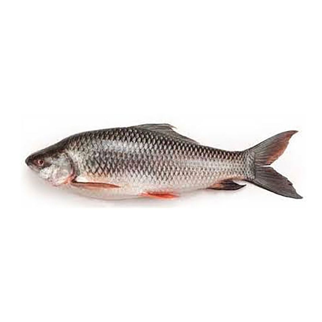 1 Kg fish