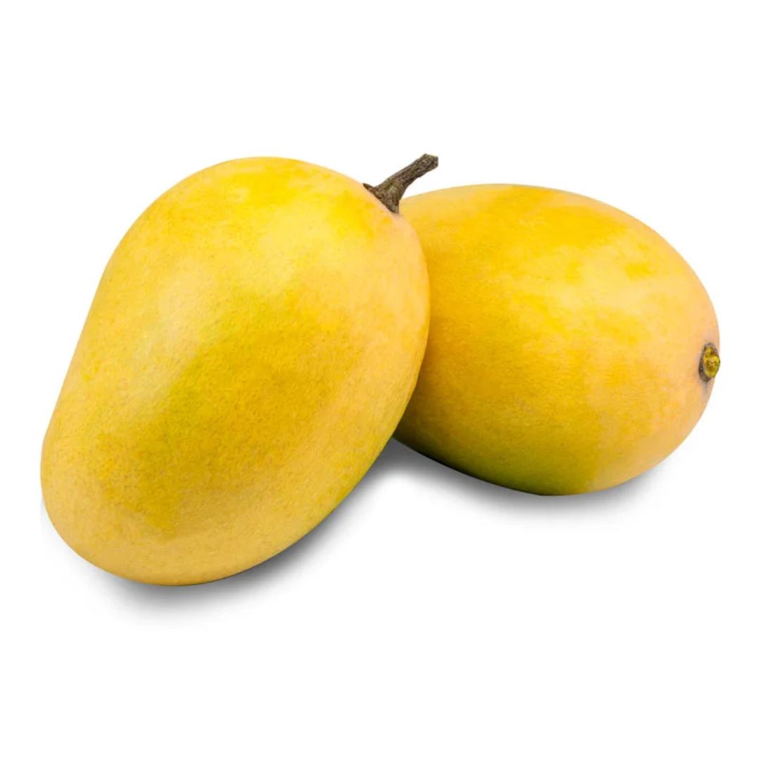 Fresh Mangoes Anwar Ratol Export Quality 