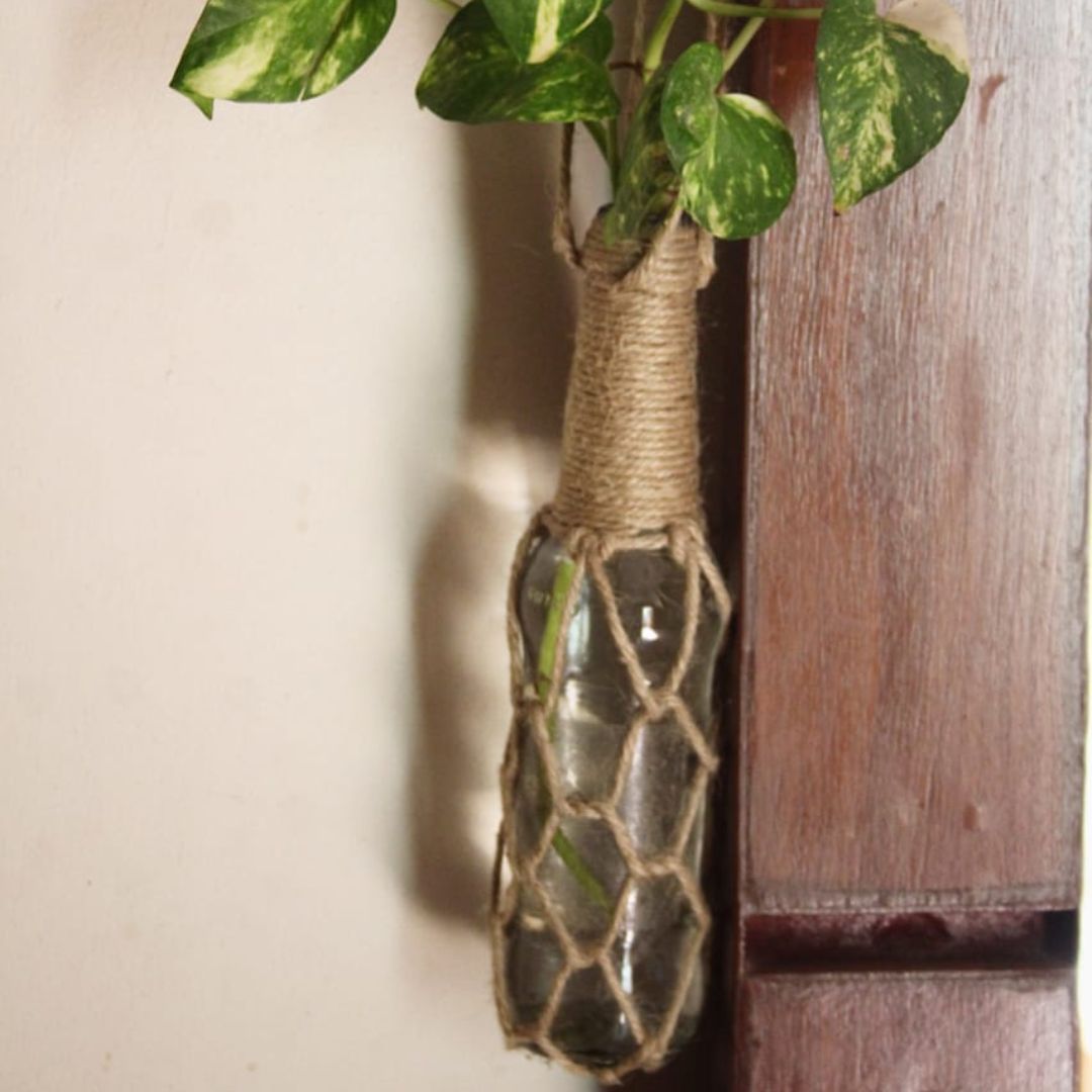 Hanging Planter