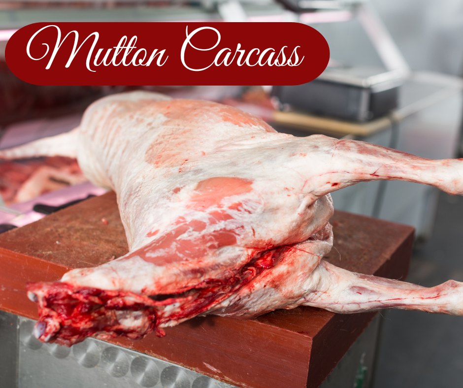 Mutton Carcass