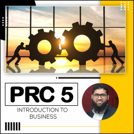 CA PRC 5 – Introduction to Business-TSB