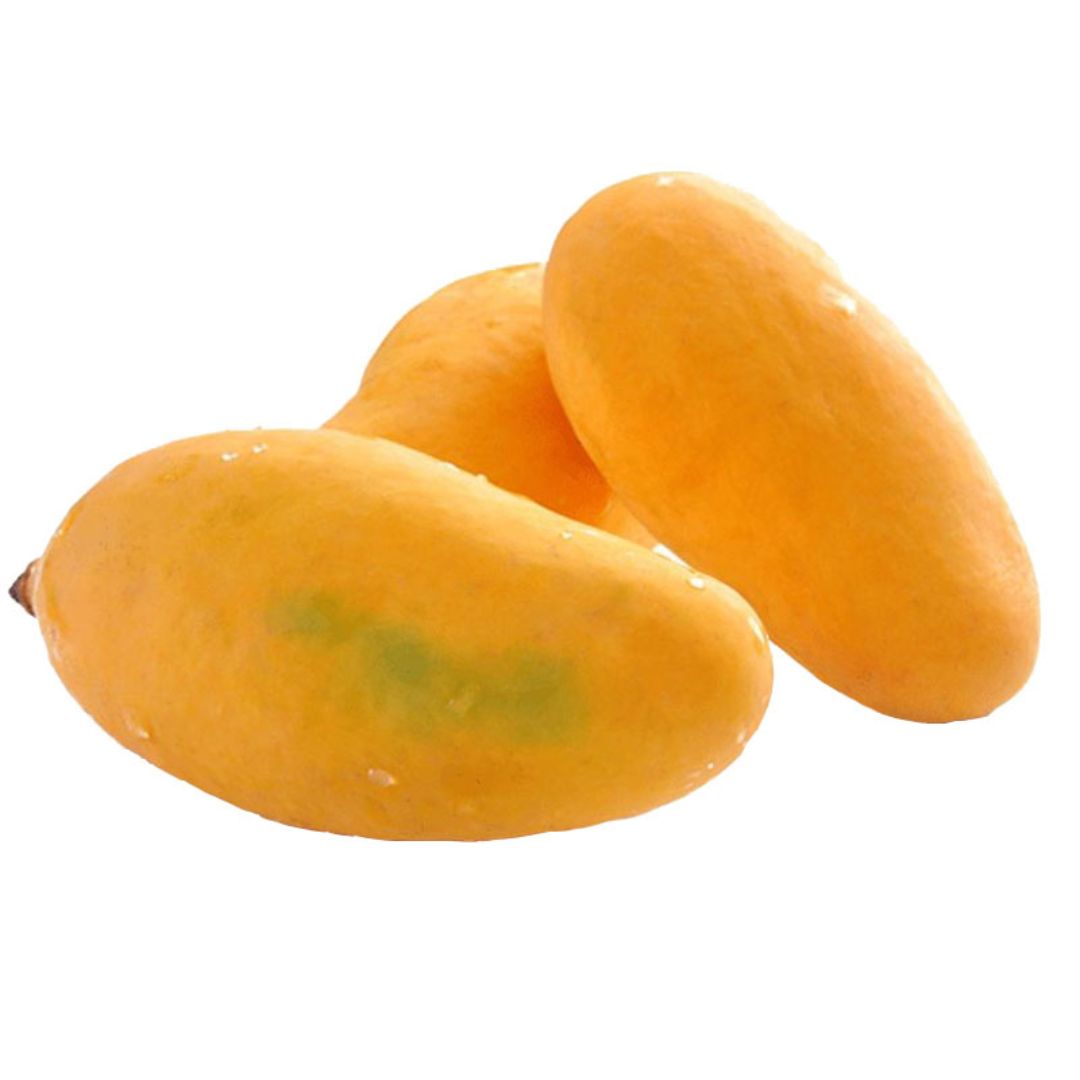 Fresh Mango Sindhri Export Quality 